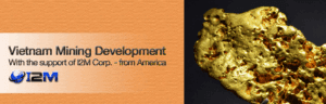 Vietnam gold mining